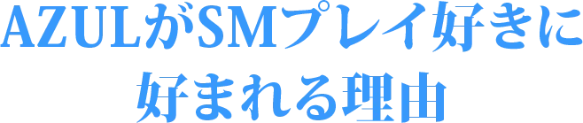 AZULがSMプレイ好きに好まれる理由