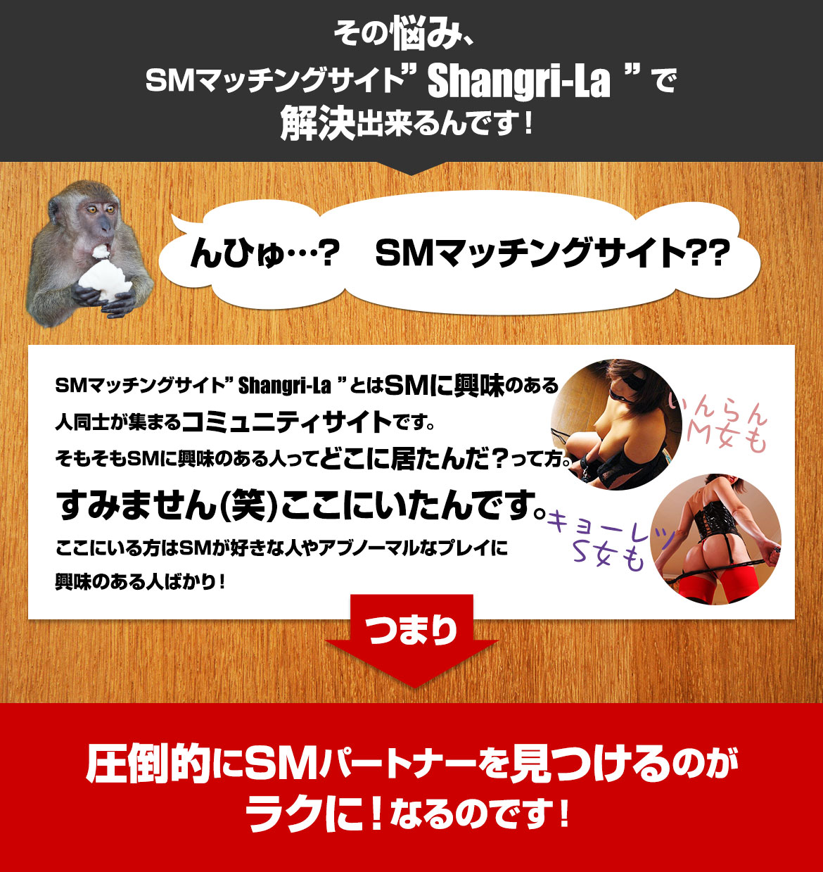 ̔Y݁ASM}b`OTCgShangri-Laŉoł!