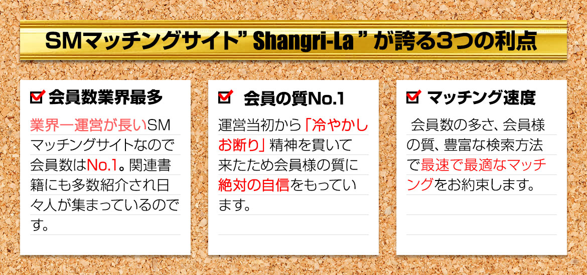 SM}b`OTCgShangri-Laւ3̗_