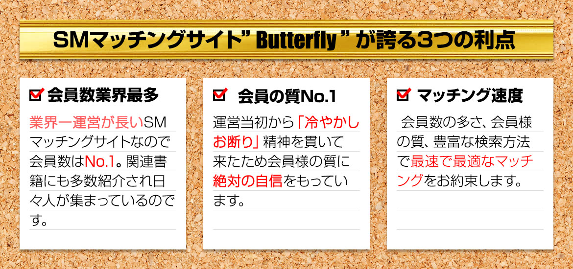 SM}b`OTCgButterflyւ3̗_