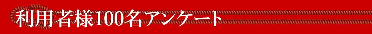 pҗl100AP[g