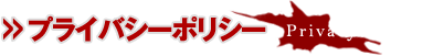 プライバシーポリシー