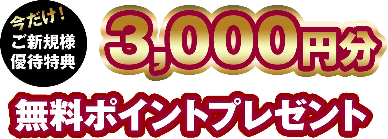 VKlDғT3,000~|Cgv[g