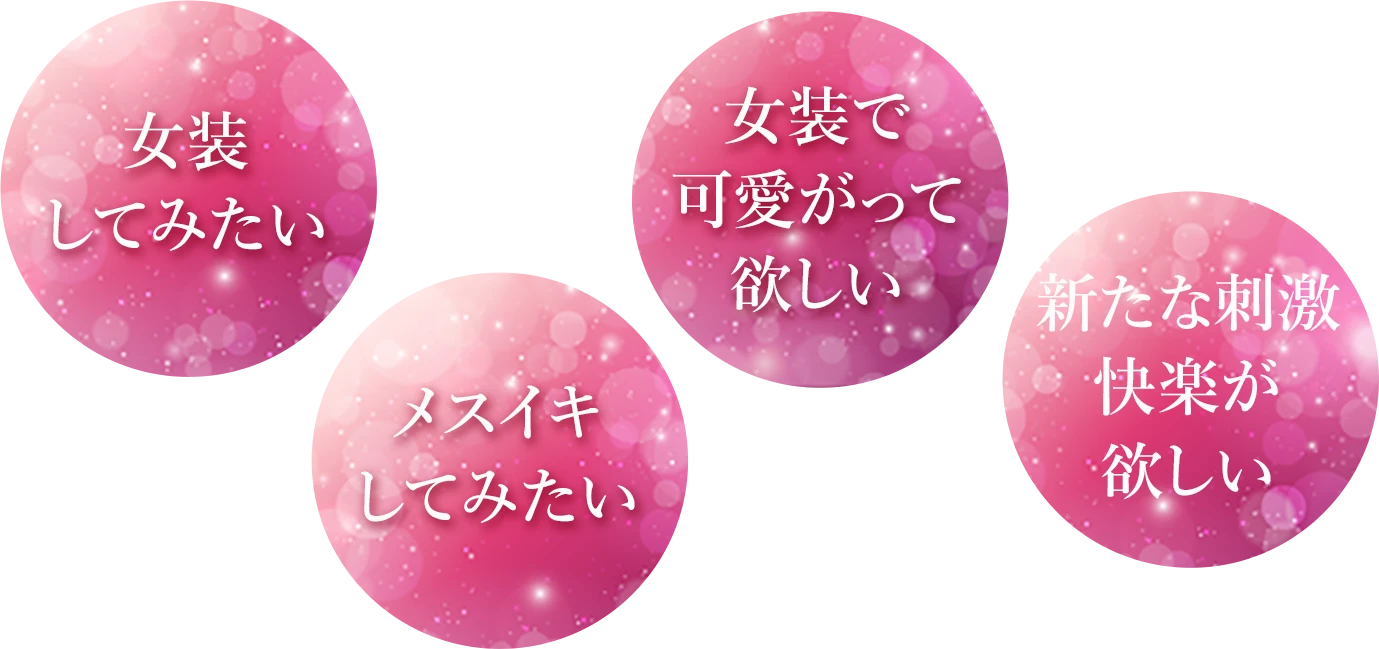 Ă݂@XCLĂ݂@ŉė~@VȎhy~