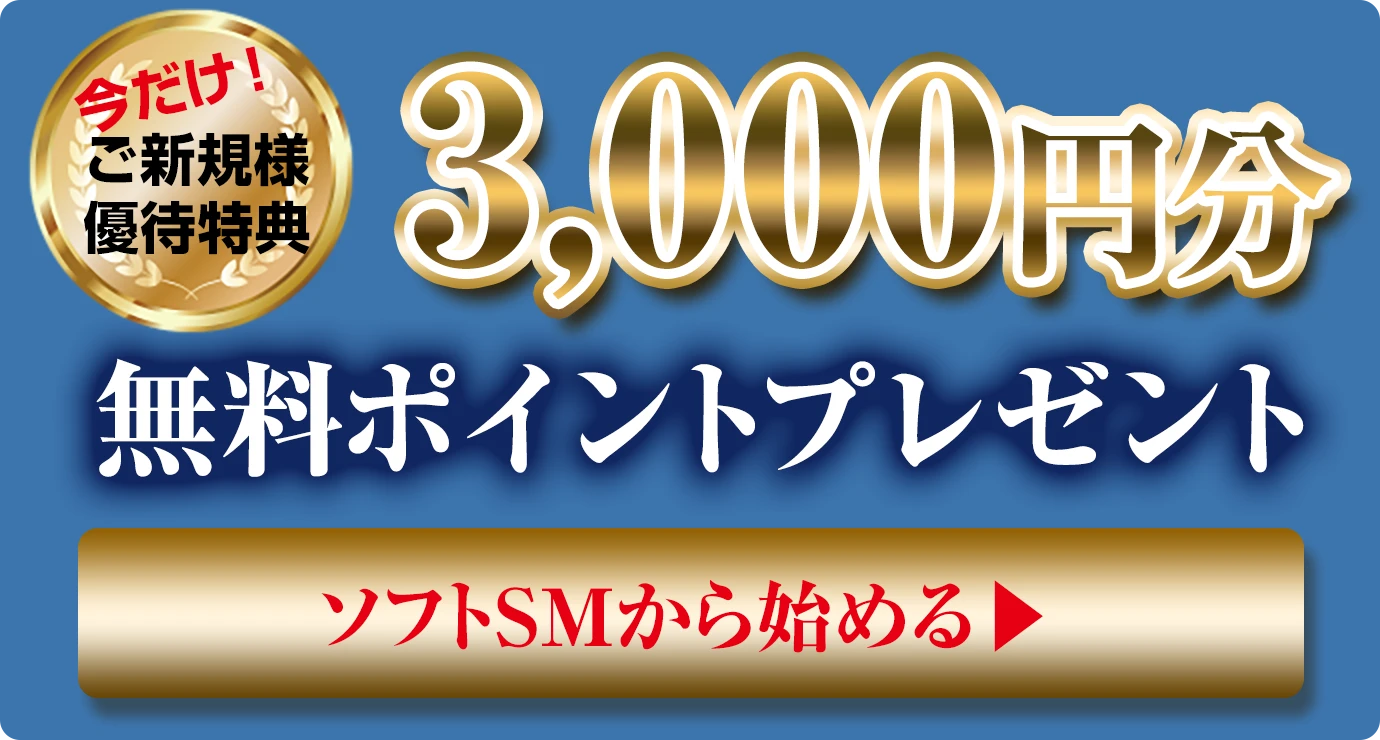 今なら3,000円分のポイントを無料でプレゼント ソフトSMから始める