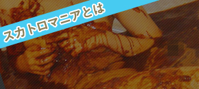 �X�J�g���}�j�A�Ƃ�