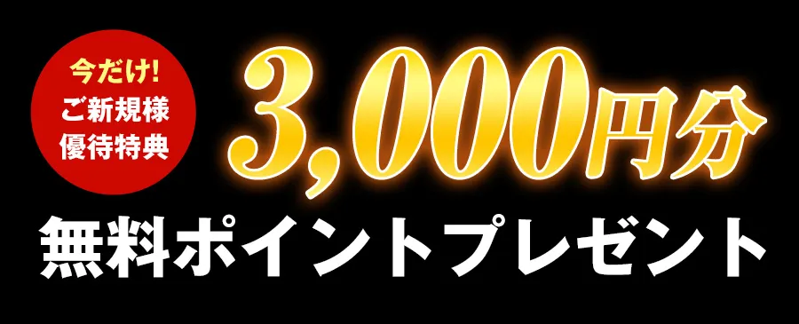 3000円分無料プレゼント